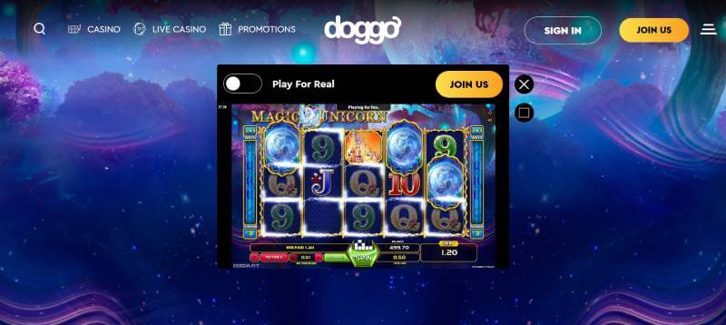 Doggo Casino Gaming Process