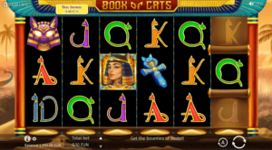Book of Cats Casino